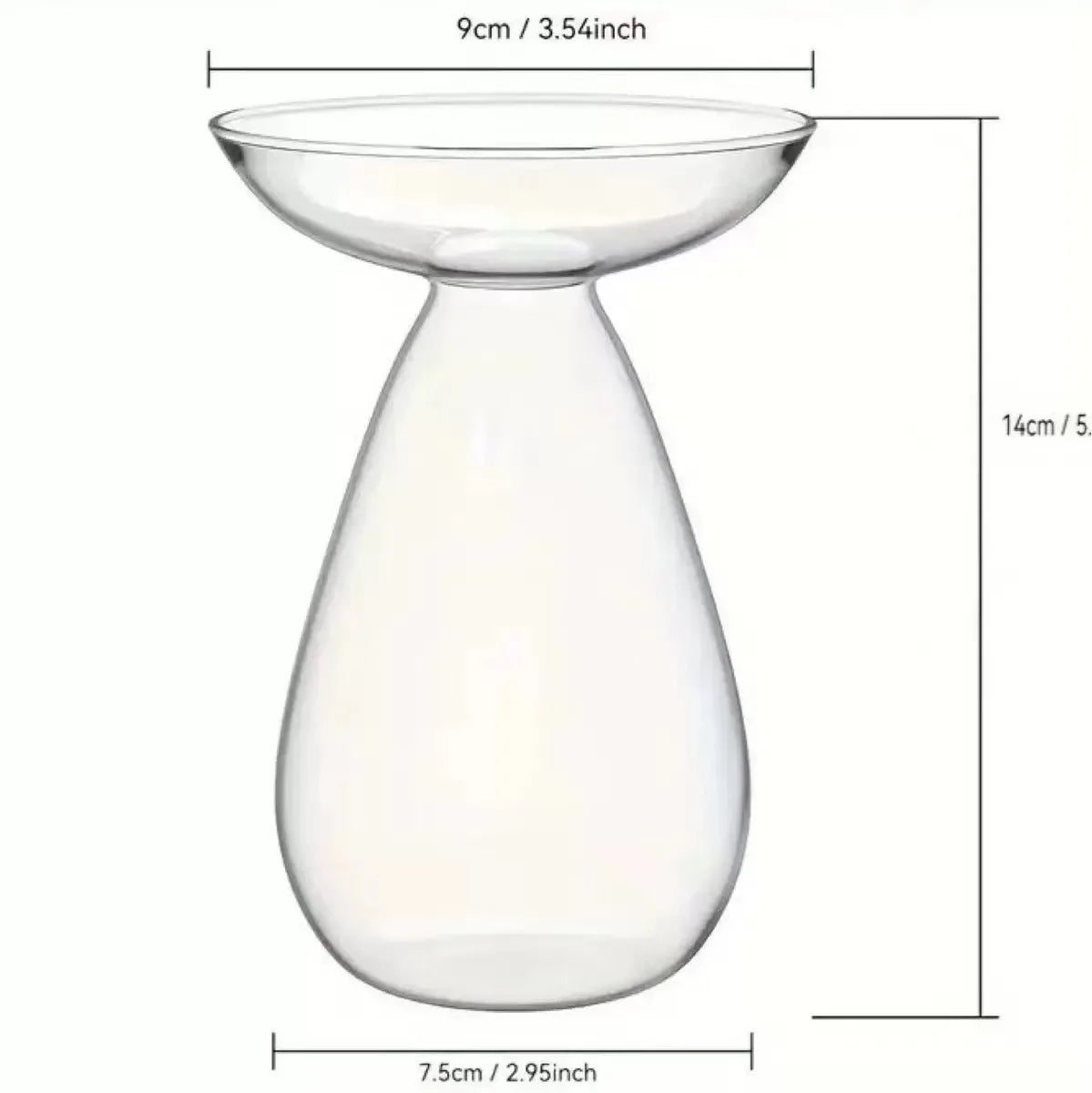 Avocado Seed Starter Glass Vase – Grow Your Own Plant Indoors