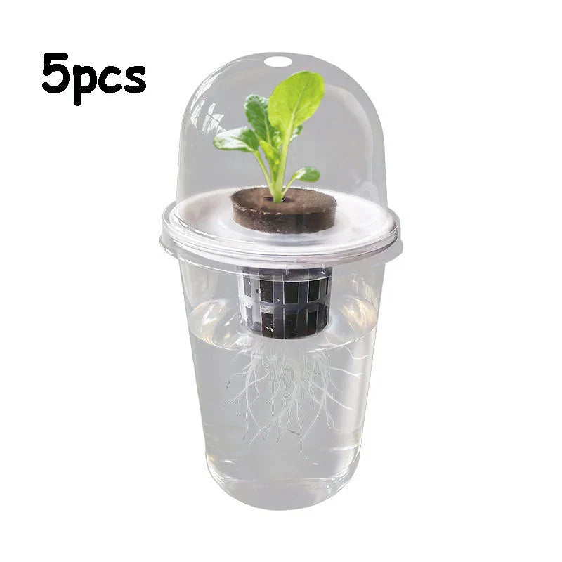 Hydroponic Seed Starter – Transparent Root Pot