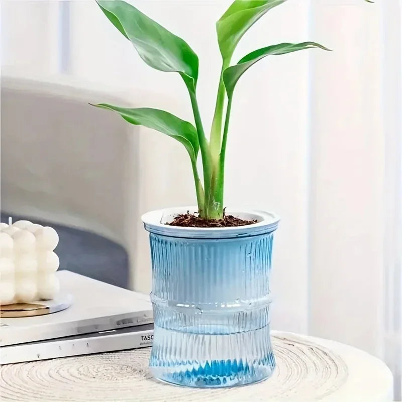 Self-Watering Hydroponic Flower Pot – Transparent Double-Layer Planter