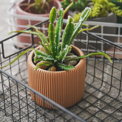 Stripe Silicone Flowerpot & Candle Mold – DIY Planter Kit
