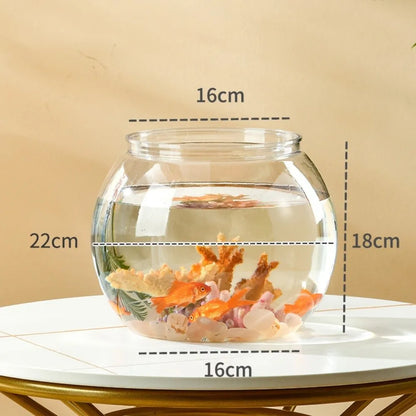 Clear Round Fish Tank – Durable Lightweight Aquarium for Home & Office