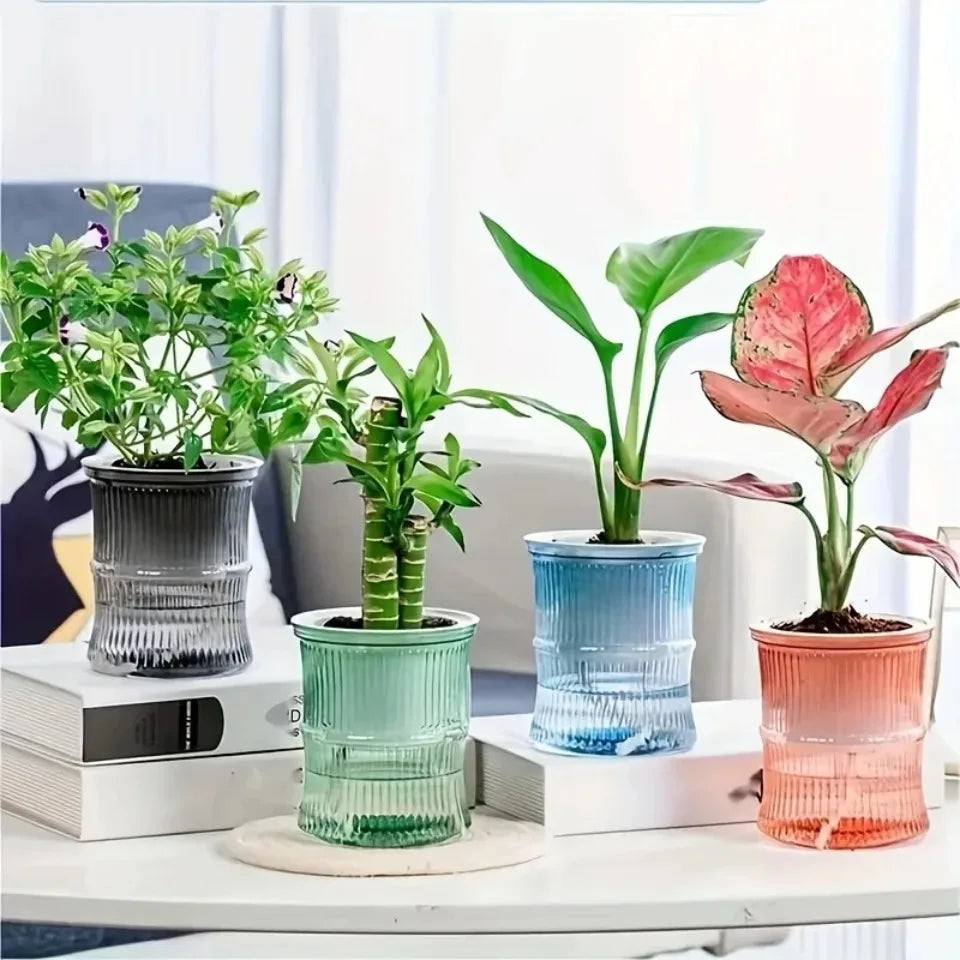 Self-Watering Hydroponic Flower Pot – Transparent Double-Layer Planter
