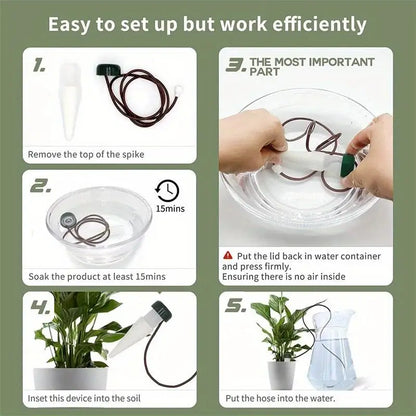 Self-Watering Plant Spikes (2-Pack) – Easy Automatic Drip Irrigation