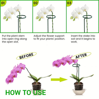 Adjustable Plant Support Stakes – Durable Metal Garden Support Rings