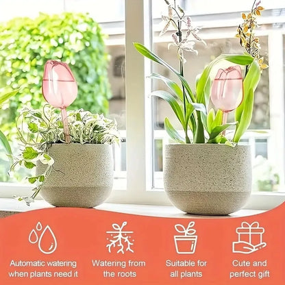 Pink Tulip Self-Watering Balls – Indoor & Outdoor Plant Drippers