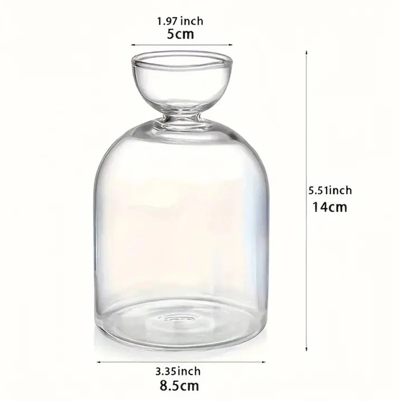 Avocado Seed Starter Glass Vase – Grow Your Own Plant Indoors