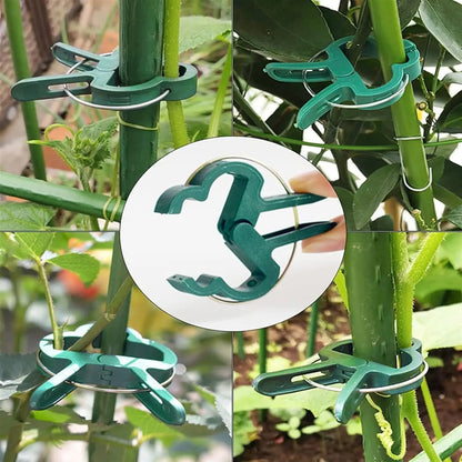 Tomato Clips – Reusable Garden Plant Support (20pcs)