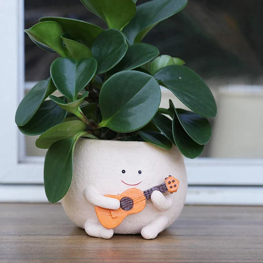 Smiley Face Resin Planter Pot – Cute Indoor & Outdoor Succulent Pot