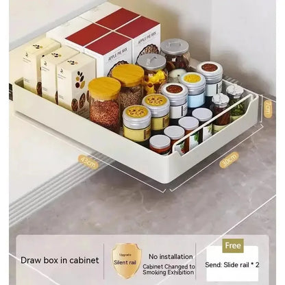 Pull-Out Metal Kitchen Drawer Organizer | Spice & Cabinet Rack