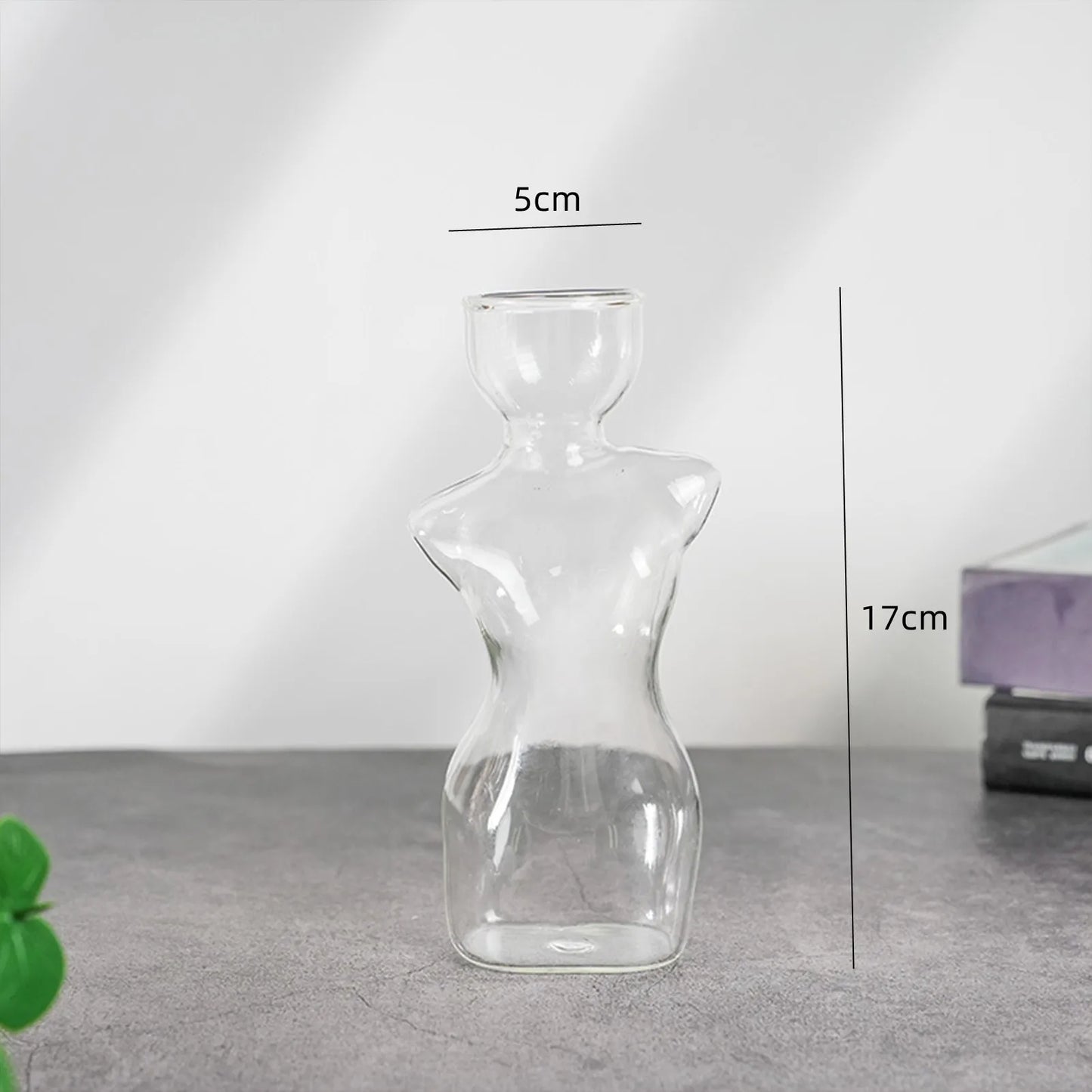 Avocado Seed Starter Glass Vase – Grow Your Own Plant Indoors