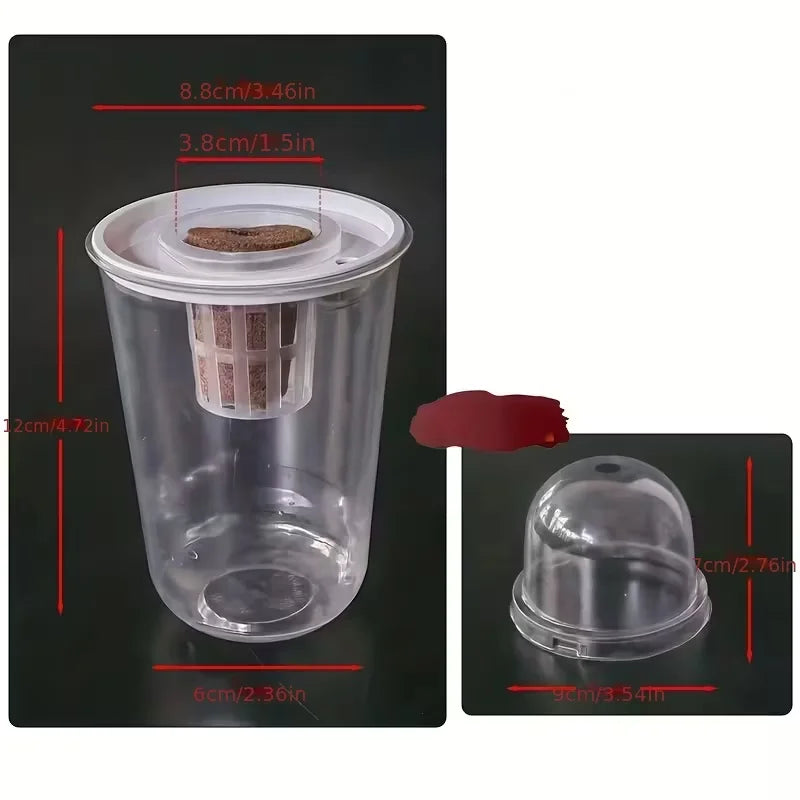 Hydroponic Seed Starter – Transparent Root Pot