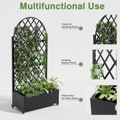Garden Plant Climbing Trellis – Metal Vine Support Frame
