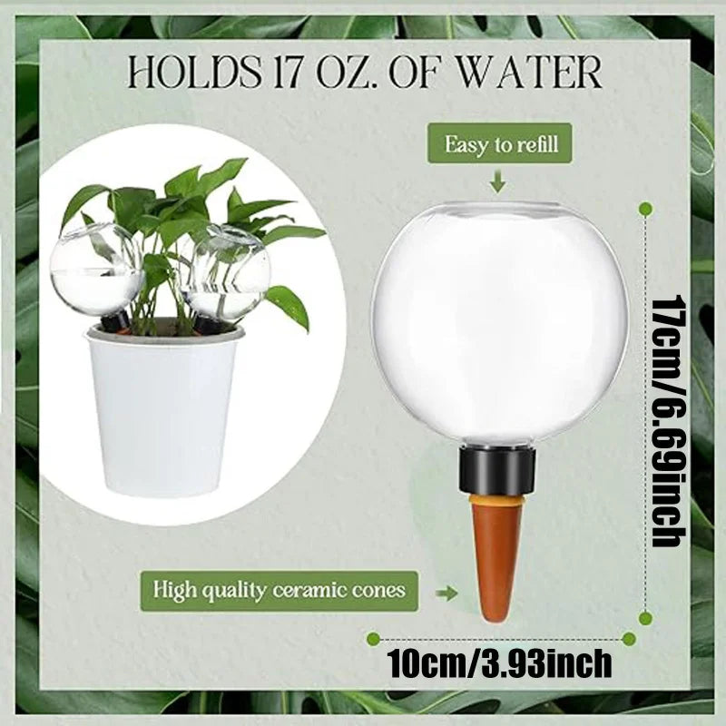 Self-Watering Plant Globe (500ml)