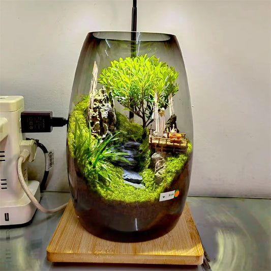 Glass Succulent Terrarium – Handmade Desktop Decor