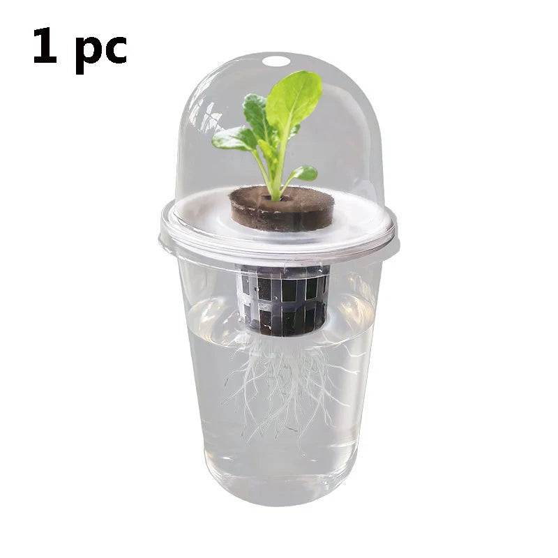 Hydroponic Seed Starter – Transparent Root Pot