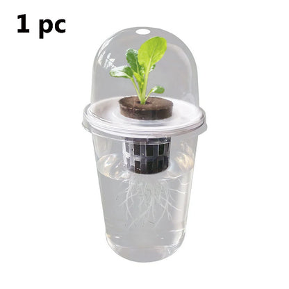 Hydroponic Seed Starter – Transparent Root Pot