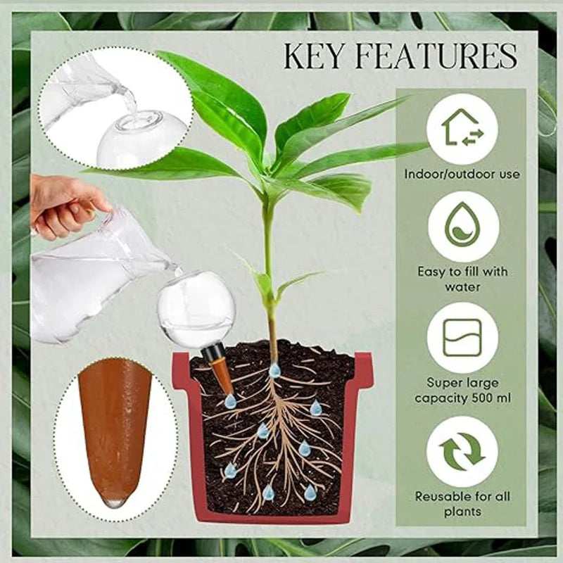 Self-Watering Plant Globe (500ml)