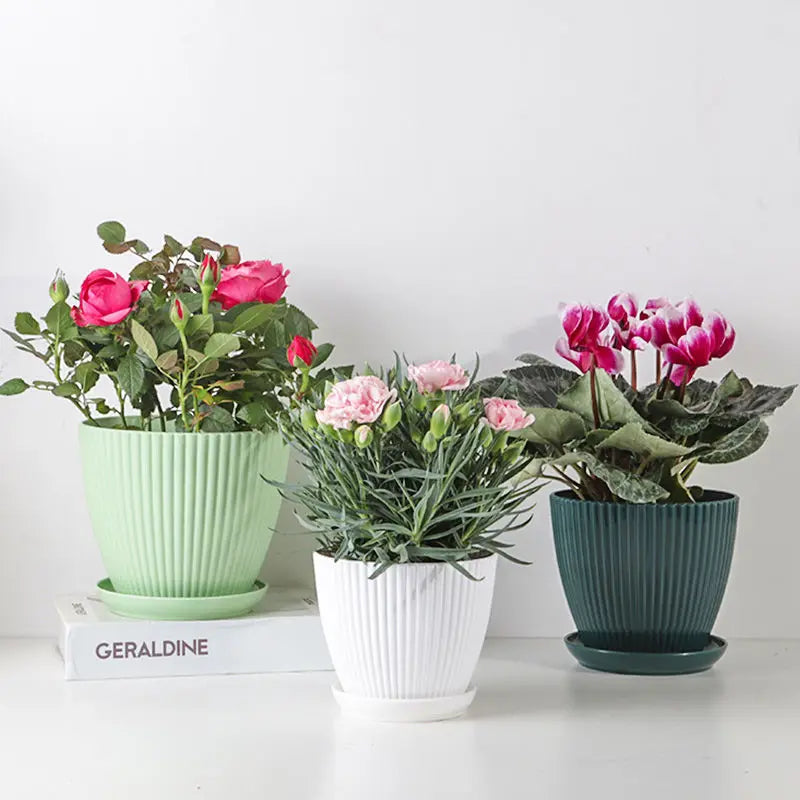 Minimalist Resin Plant Pot with Drainage Tray