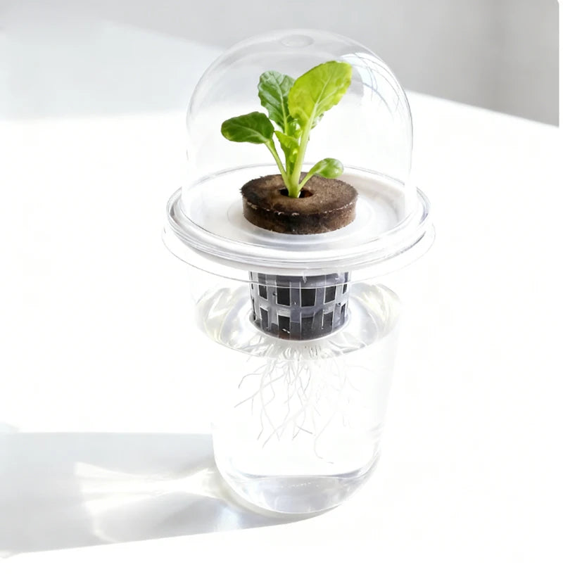 Hydroponic Seed Starter – Transparent Root Pot