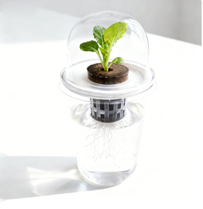 Hydroponic Seed Starter – Transparent Root Pot