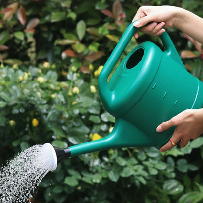 3L Long Spout Watering Can for Indoor & Outdoor Plants