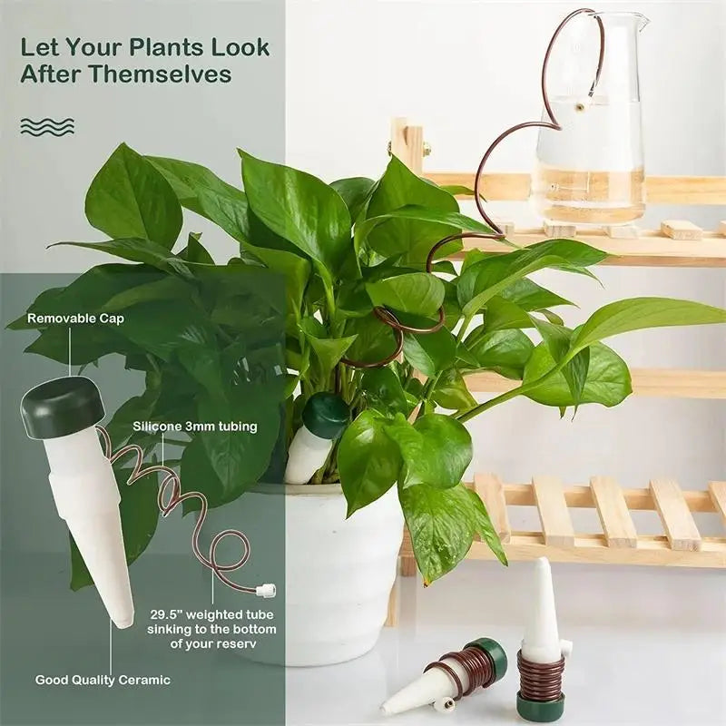 Self-Watering Plant Spikes (2-Pack) – Easy Automatic Drip Irrigation
