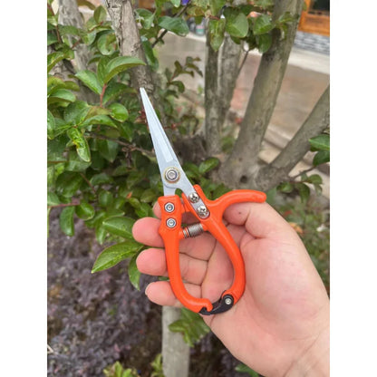 Garden Pruning Shears with Safety Lock – Stainless Steel Cutter