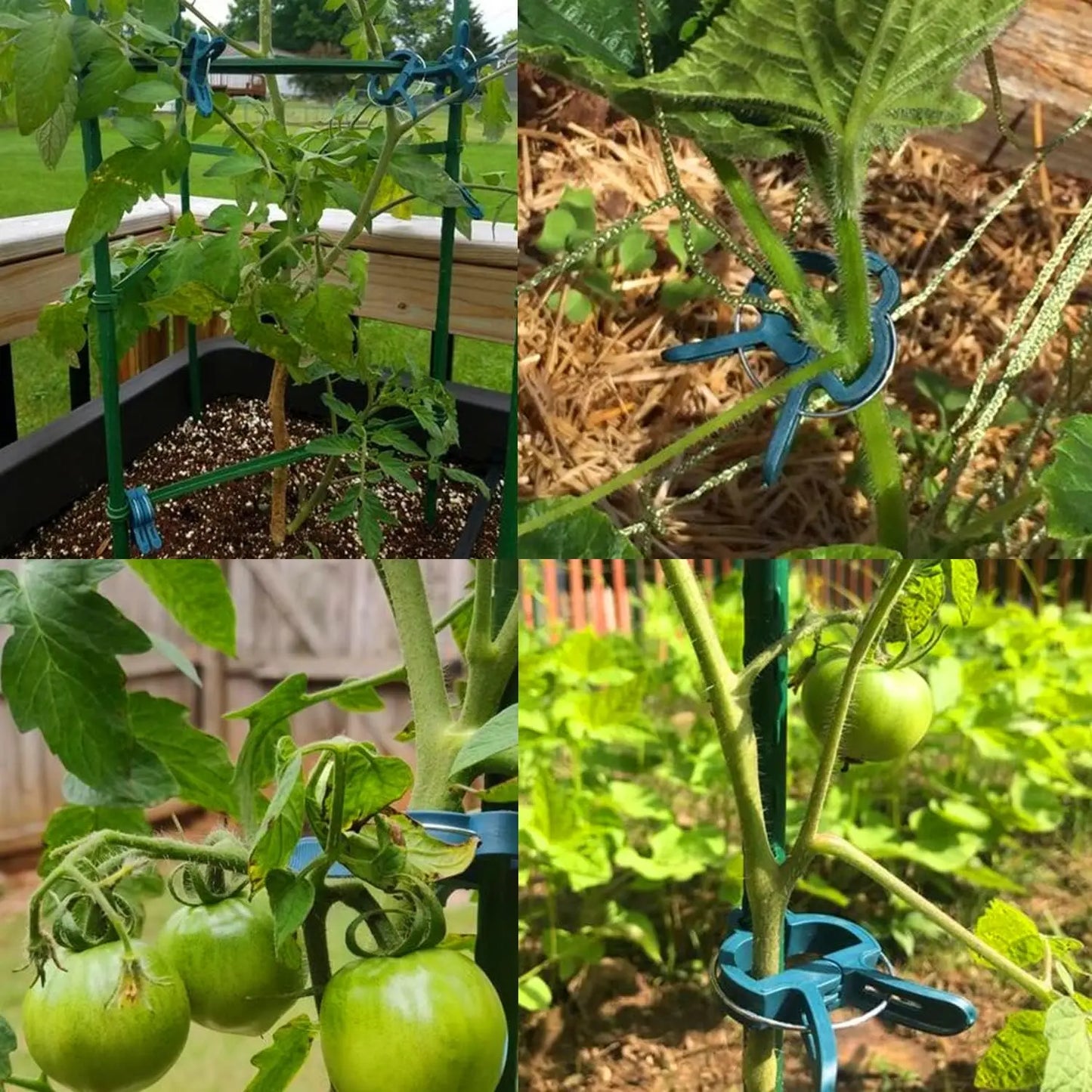 Tomato Clips – Reusable Garden Plant Support (20pcs)