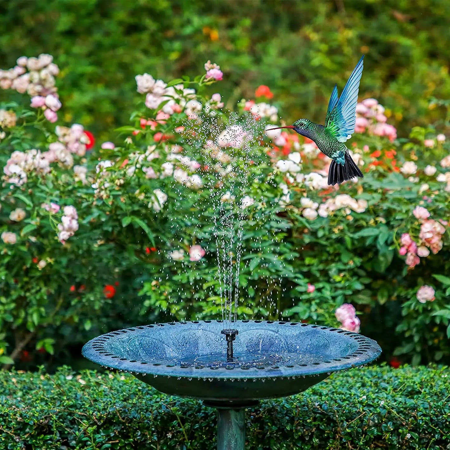 Solar Bird Bath Fountain Pump