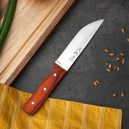 Sharp Multi-Purpose Kitchen Knife – Fruit, Steak & BBQ Essential