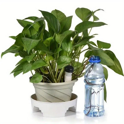Self-Watering Plant Spikes (2-Pack) – Easy Automatic Drip Irrigation