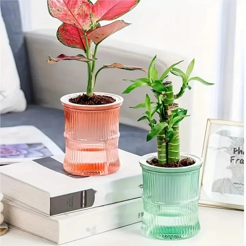 Self-Watering Hydroponic Flower Pot – Transparent Double-Layer Planter