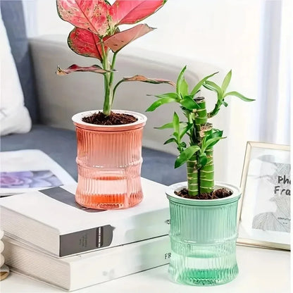 Self-Watering Hydroponic Flower Pot – Transparent Double-Layer Planter