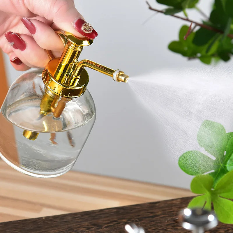 Minimalist Plant Watering Can (Transparent Design)