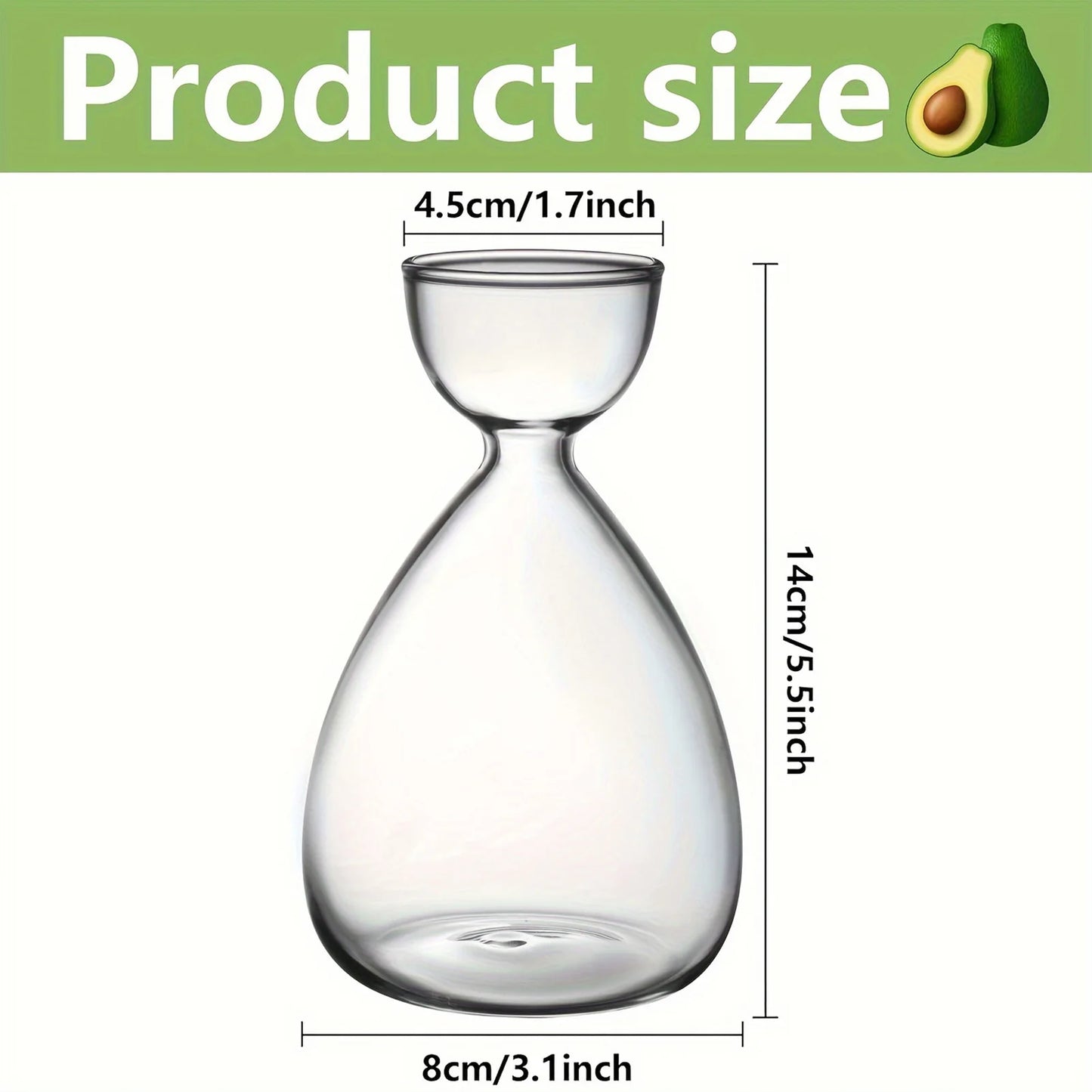 Avocado Seed Starter Glass Vase – Grow Your Own Plant Indoors