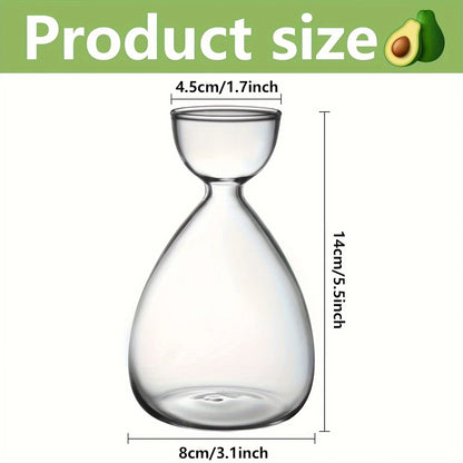 Avocado Seed Starter Glass Vase – Grow Your Own Plant Indoors