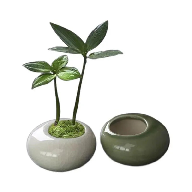Mini Ceramic Succulent Planter – Ice-Cracked Glaze Vase