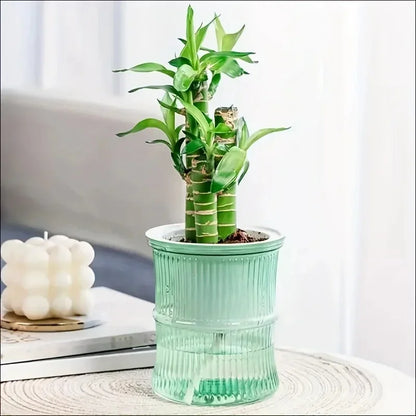 Self-Watering Hydroponic Flower Pot – Transparent Double-Layer Planter