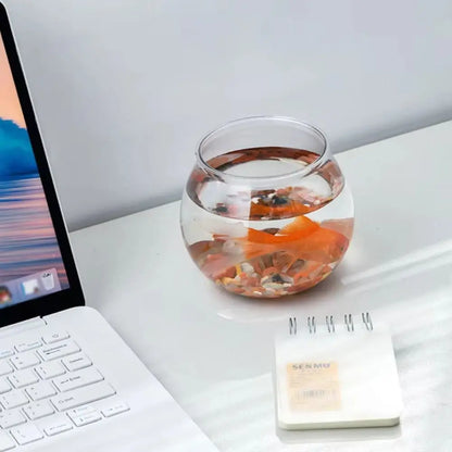 Clear Round Fish Tank – Durable Lightweight Aquarium for Home & Office