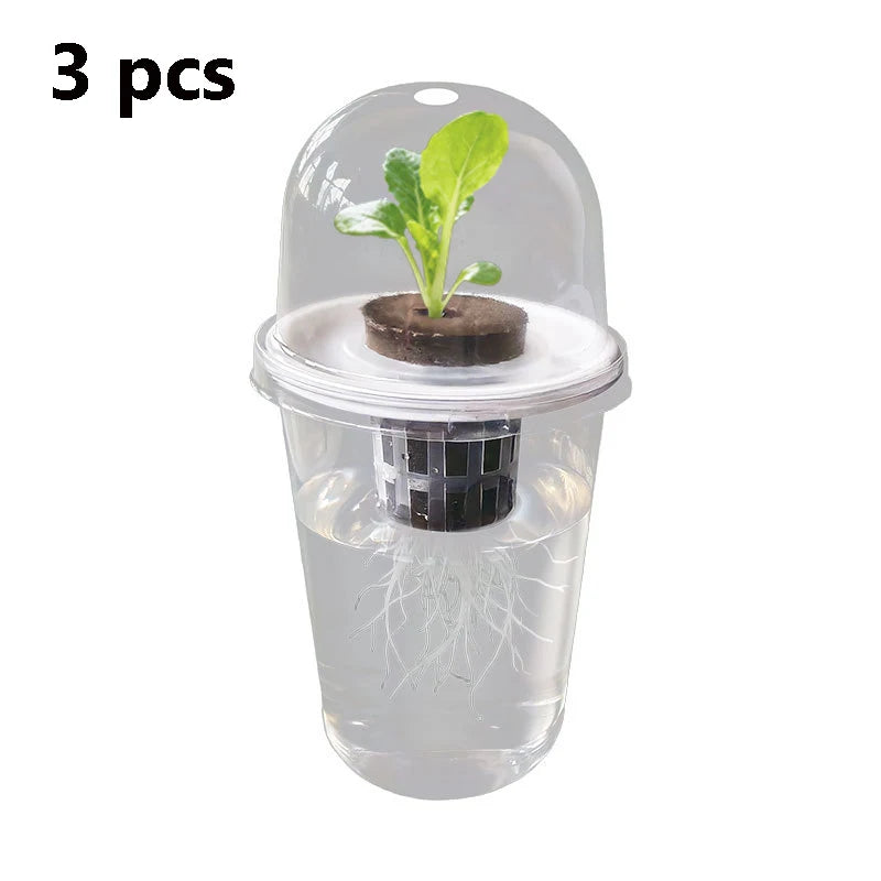 Hydroponic Seed Starter – Transparent Root Pot