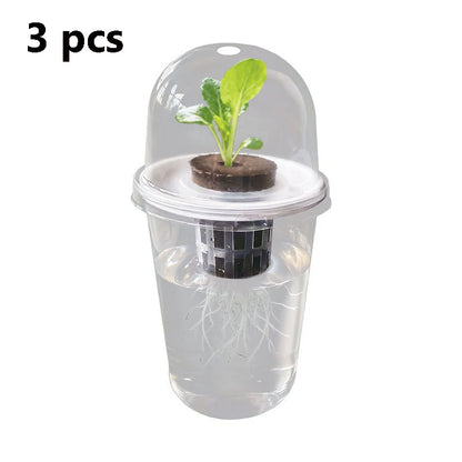 Hydroponic Seed Starter – Transparent Root Pot