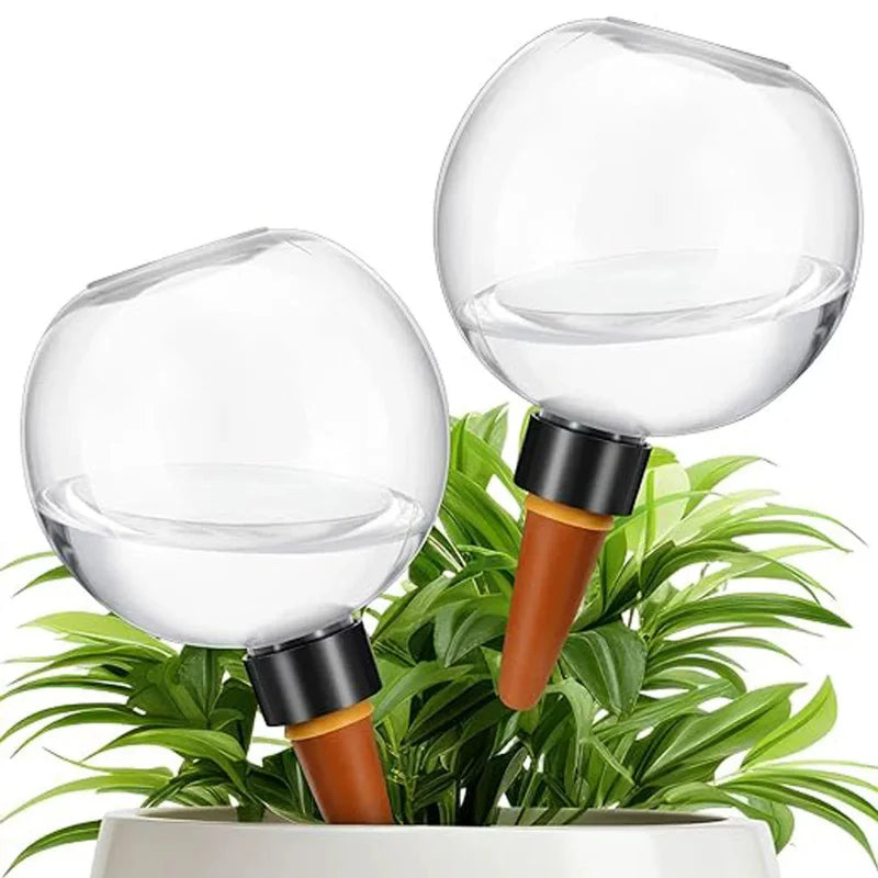 Self-Watering Plant Globe (500ml)