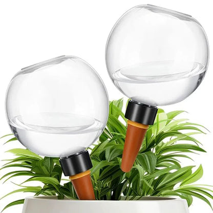 Self-Watering Plant Globe (500ml)