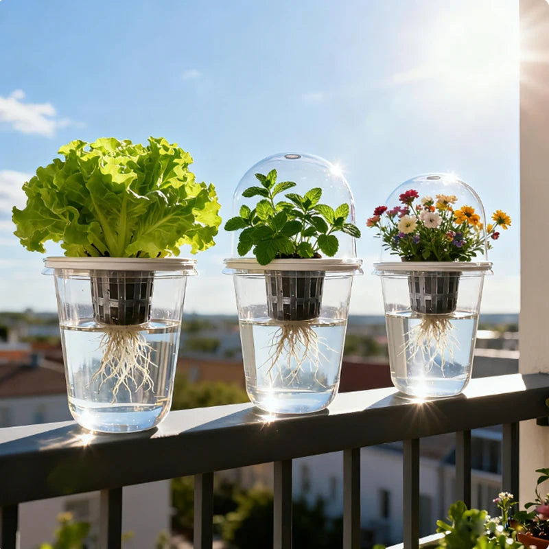 Hydroponic Seed Starter – Transparent Root Pot