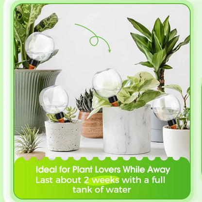 Self-Watering Plant Globe (500ml)