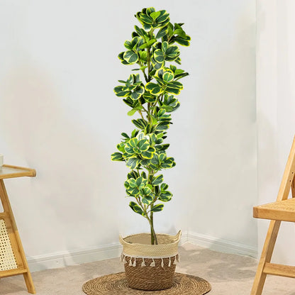 Artificial Ficus Tree – 76cm / 115cm Green Heart Leaves