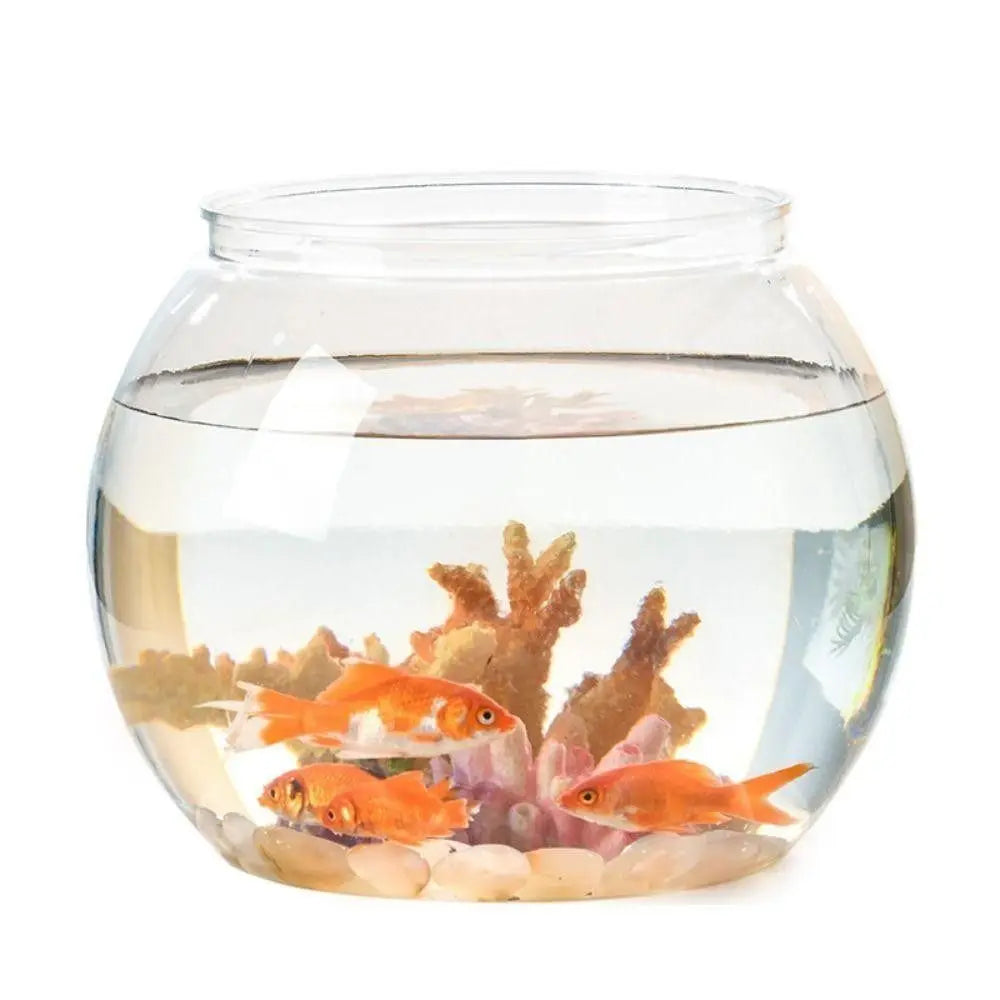 Clear Round Fish Tank – Durable Lightweight Aquarium for Home & Office