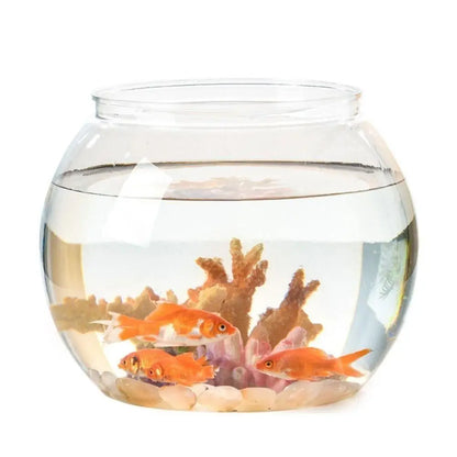 Clear Round Fish Tank – Durable Lightweight Aquarium for Home & Office