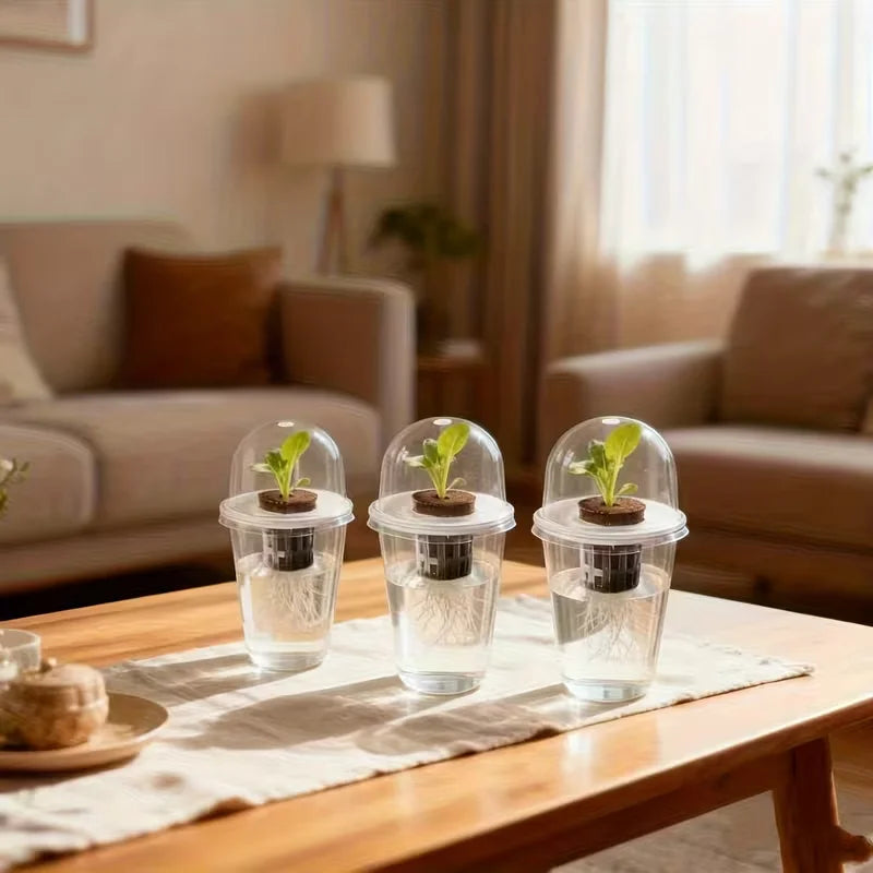 Hydroponic Seed Starter – Transparent Root Pot