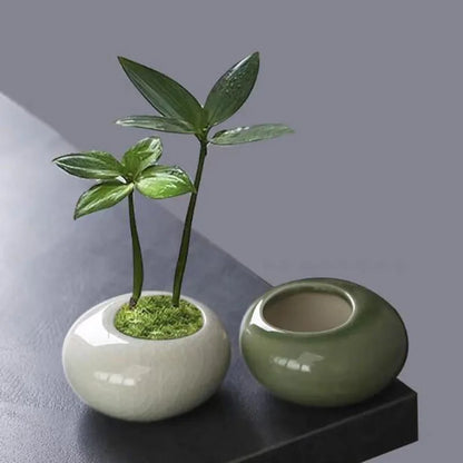 Mini Ceramic Succulent Planter – Ice-Cracked Glaze Vase